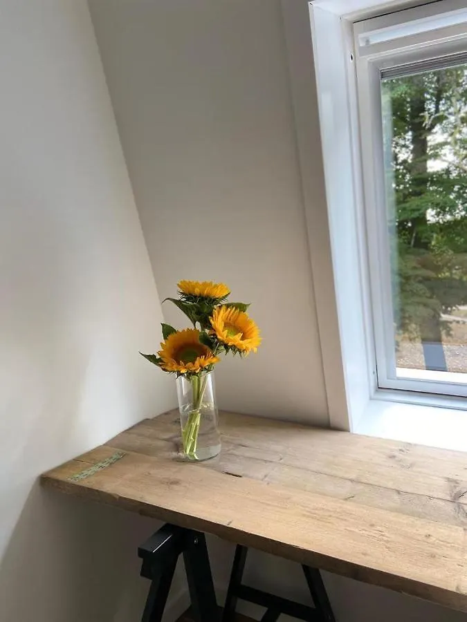 Bed and Breakfast B. Brugge